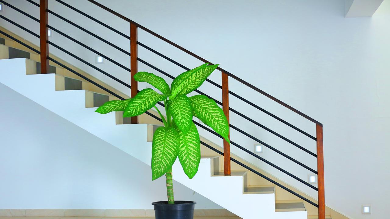 Hotel Twenty Two Binaweli Weligama Esterno foto